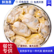 无沙无冰蛤蜊肉黄蚬子肉花甲肉鲜活冷冻商用批发非干货即食海鲜