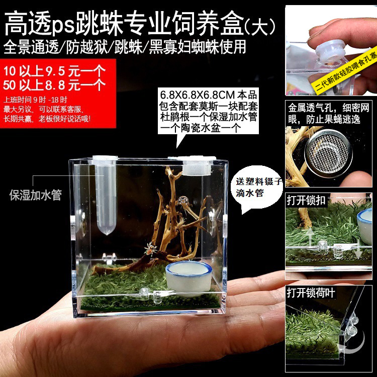 跳蛛饲养盒 小型非捕造景箱 佛罗里达跳蛛昆虫带加湿器投食口