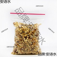 微景观造景细沙河石 苔藓微景观 天然河沙 小黄沙摆件 水草沙 80g