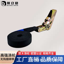 厂家直销外贸出口捆绑带货车固定收紧器固定货物困绑扎 带紧线器