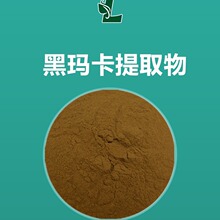 黑玛卡提取物 50:1规格 黑玛卡比例萃取粉 500g/袋 现货 秘鲁玛卡