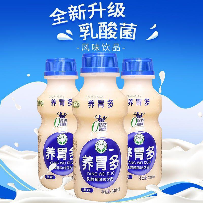 新货养胃多乳酸菌胃动力饮品340mlx12瓶早餐酸奶牛奶饮料整箱
