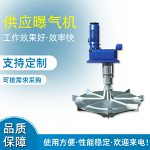 DSB型倒伞型立式表面增氧曝气机