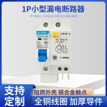 漏电保护器DZ47LE-63/1P小型漏电断路器 漏电保护开关厂家供应
