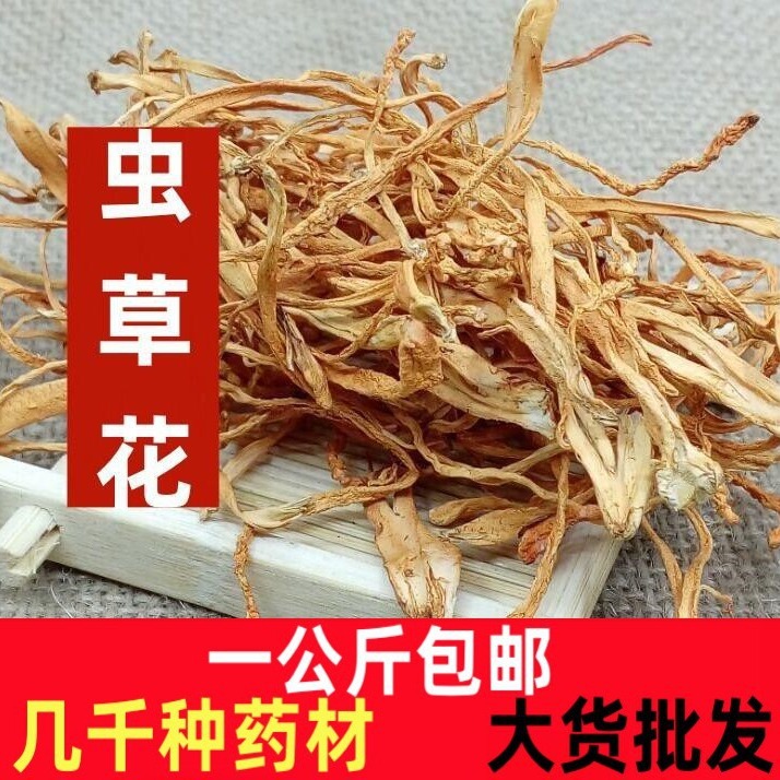 蛹虫草一公斤不用无硫包邮虫草花中药材野生虫草花金虫草-阿里巴巴