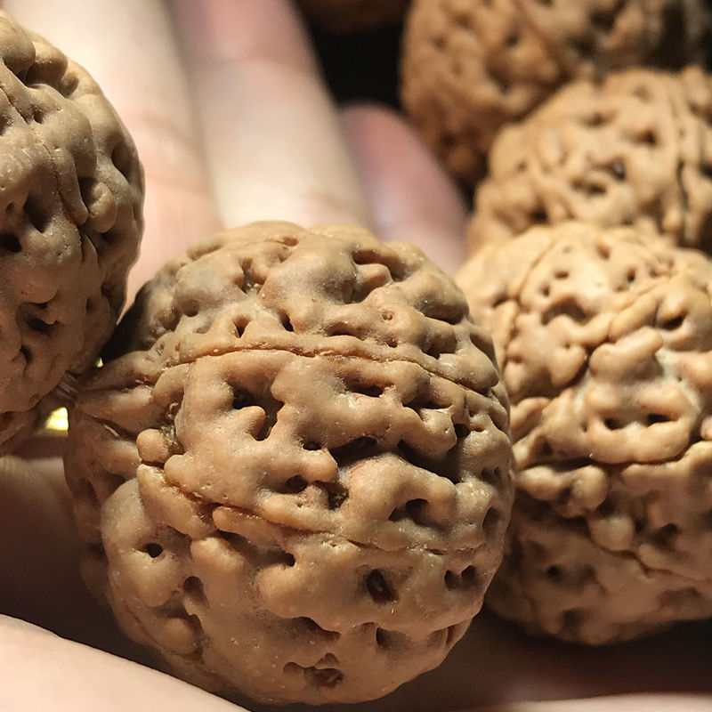 金刚菩提子手串爆肉89瓣姜黄皮蜂王原籽男士佛珠风铃子大手链念珠