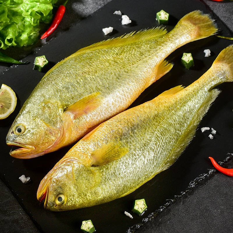 新鲜大黄花鱼鲜活冷冻批发大黄鱼鲜大黄花鱼非鱼干小黄鱼水产海鲜