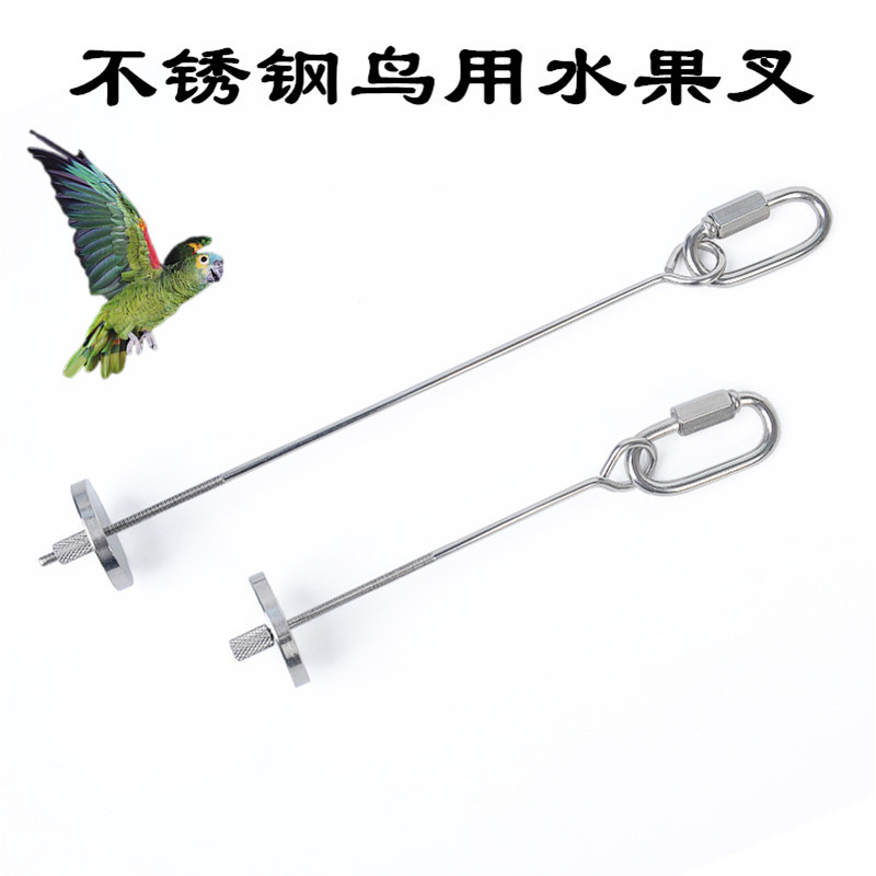 鹦鹉不锈钢水果叉 可挂笼鸟类喂食器 松鼠零食钢叉 鸟用品