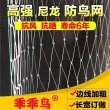 乖乖鸟防鸟网尼龙网家用机场果园防护网防护网葡萄网养殖鱼塘天网