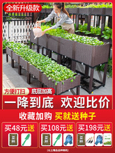 种植箱种菜神器家庭阳台蔬菜专用花盆长方形塑料楼顶菜盆户外花箱