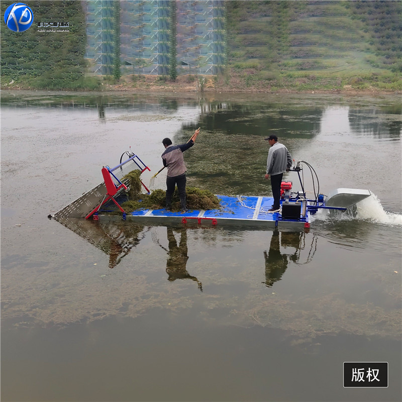 小型电动水草收割船 小型保洁船 河道水下割草机 水草打捞船