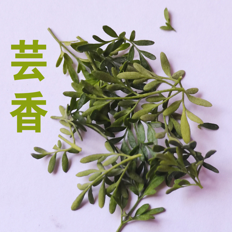 500克干芸香草臭草七里香小香茅草香草纯叶无粗杆熏香合香甜品原