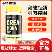 诺特 /兰德CREA-MONA肌酸片60粒/瓶运动健身一水肌酸代发官方正品