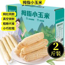 西双版纳拇指小玉米新鲜即食免煮白糯玉米真空食用农产品儿童玉米