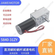 嘉维/供应5840-31ZY直流减速电机蜗轮蜗杆马达大力矩12V 24V 双轴