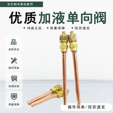 冰箱单向阀 加氟嘴 加液嘴 冰箱接头 加氟接头 针阀 充注阀