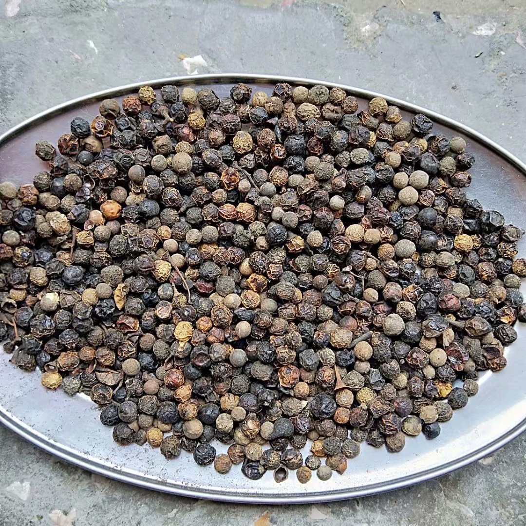 中药材樟树果 樟木子 每件500克-阿里巴巴