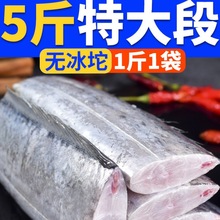 已卖28w+国产带鱼中段高蛋白海鲜特大中段过年囤货刀鱼批发代发