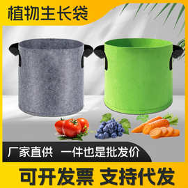 无纺布花盆绿植美植袋毛毡种植盆庭院绿色灰色加厚无纺布种植袋