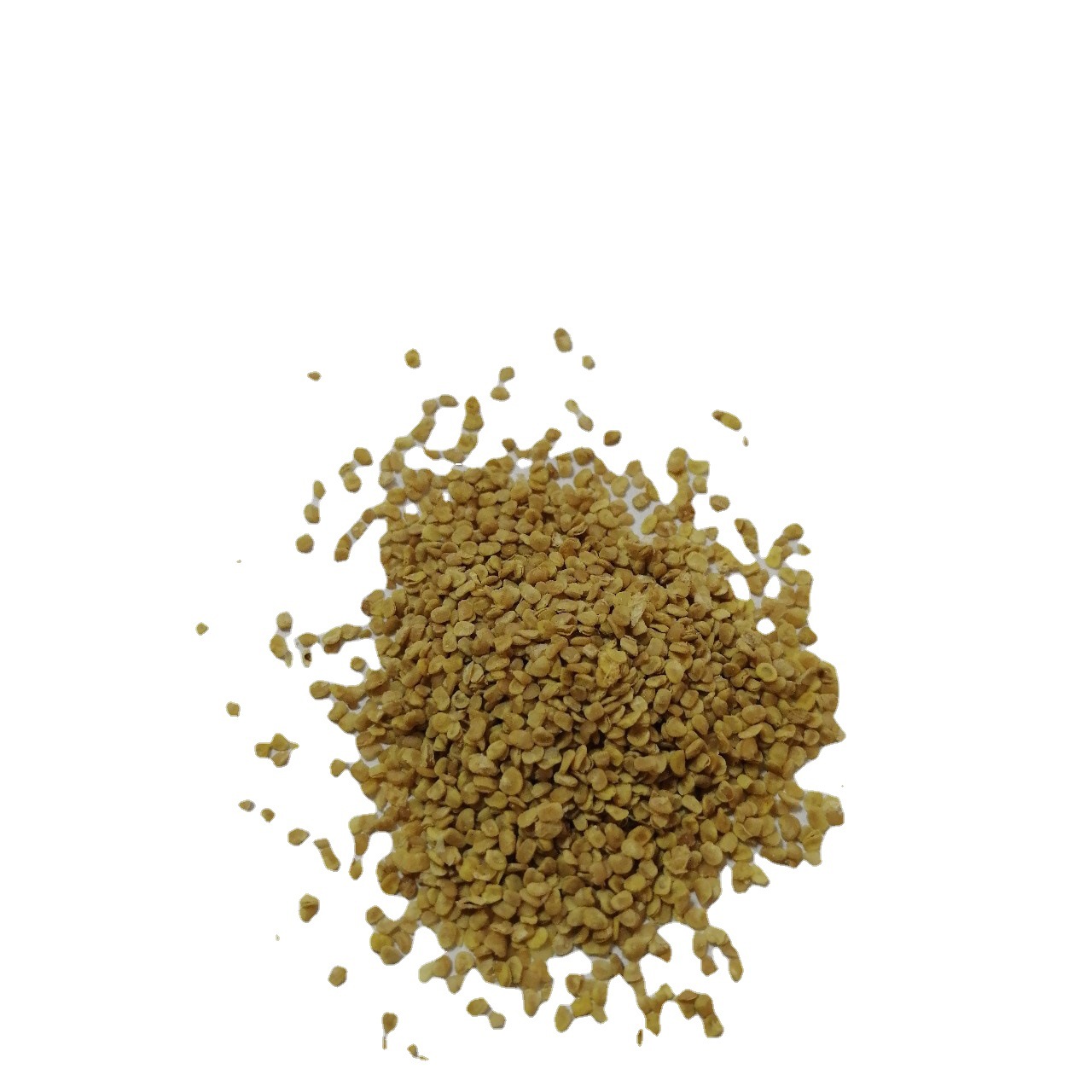 宁夏枸杞种籽中宁枸杞种子非种植枸杞籽工业提取物种子厂家批发