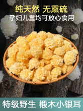 天然椴木小银耳 可搭配雪燕桃胶野生干货无杂质古田雪耳250g