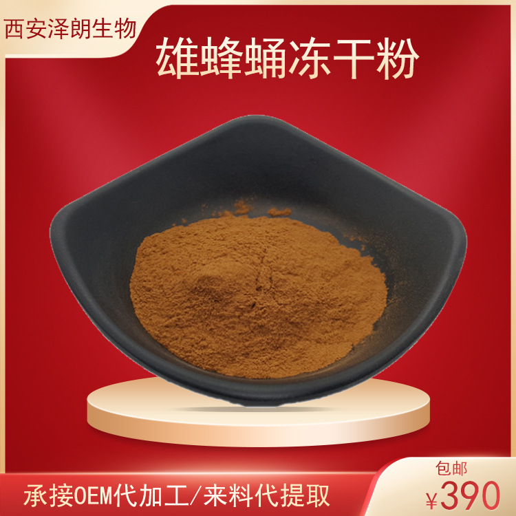 雄蜂蛹冻干粉雄蜂蛹粉雄蜂蛹提取物原料粉现货批发加工