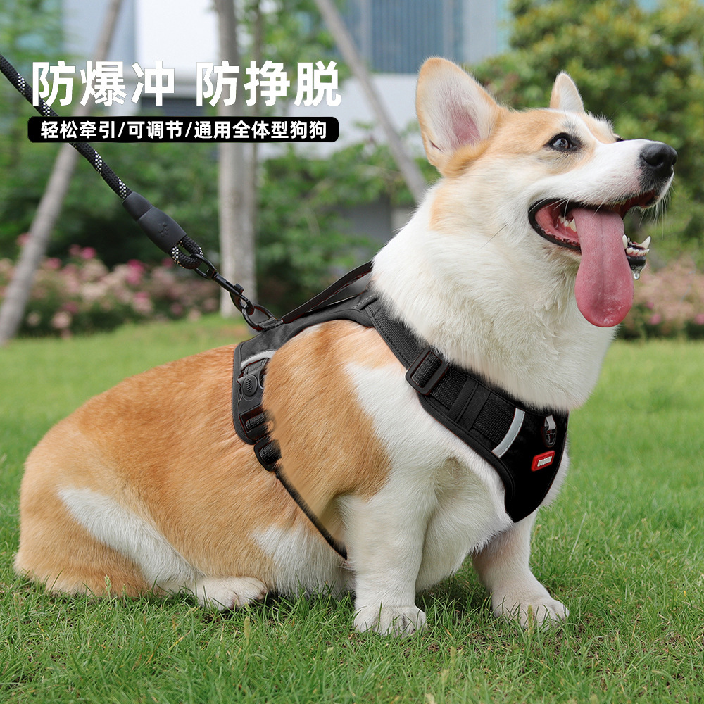 Pet Hand Holding Rope Vest Puppy Chest Strap Explosion-Proof Reflective Dog Chest Back Pet Supplies Dog Leash Wholesale