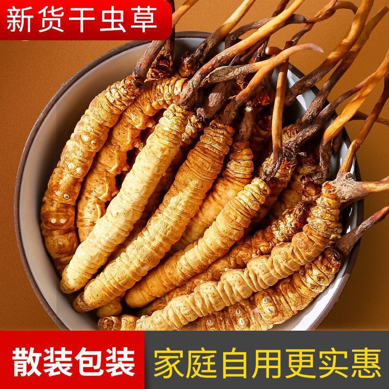 藏区正宗冬虫夏草冬虫草虫草王滋补甘孜非那曲虫草干货精选礼盒