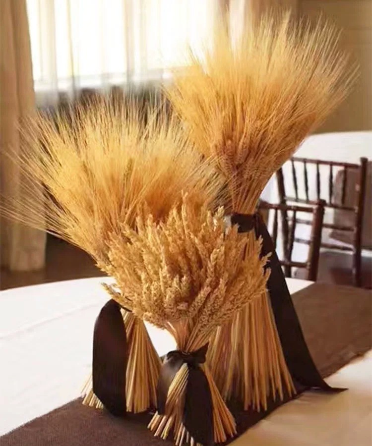 干花麦穗花束大麦干花真麦子批发开业花篮装饰摆件客厅拍照道具