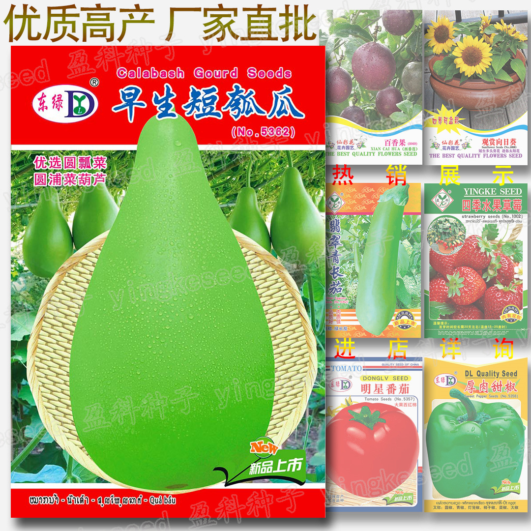 7万袋佳美西葫芦种子 菜瓜籽 西葫 熊瓜 雄瓜 小瓜 荨瓜 熏瓜 番瓜
