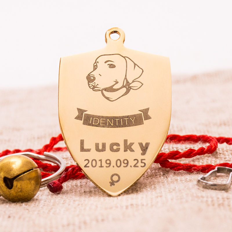 【德牧狗牌】-德牧狗牌厂家,品牌,图片,热帖-阿里巴巴