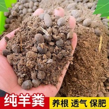 地润科技 果蔬专用 附近纯羊粪 生物菌发酵 10吨起 厂商