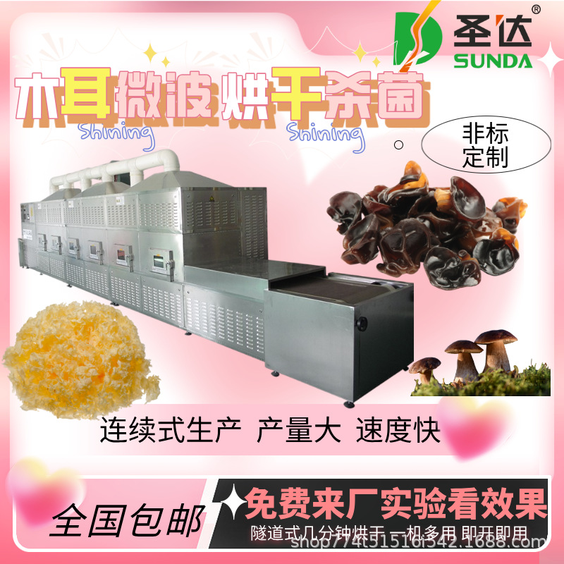 竹笋香菇杀菌脱水机 大型全自动菌子干燥机时间短 木耳微波烘干机