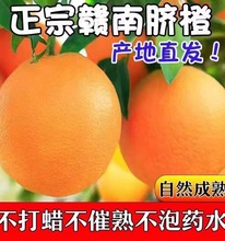江西赣南脐橙5斤新鲜应季水果橙子正宗赣南脐橙