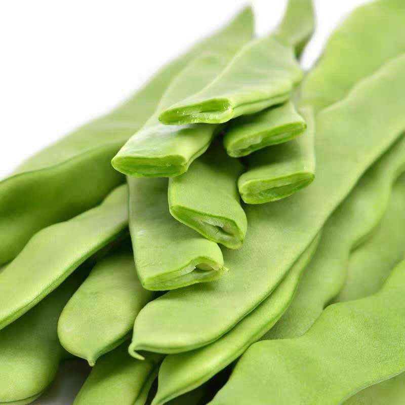 新鲜扁芸豆芸豆角大扁豆无丝豆豆角现摘先发健康无公害绿色食品