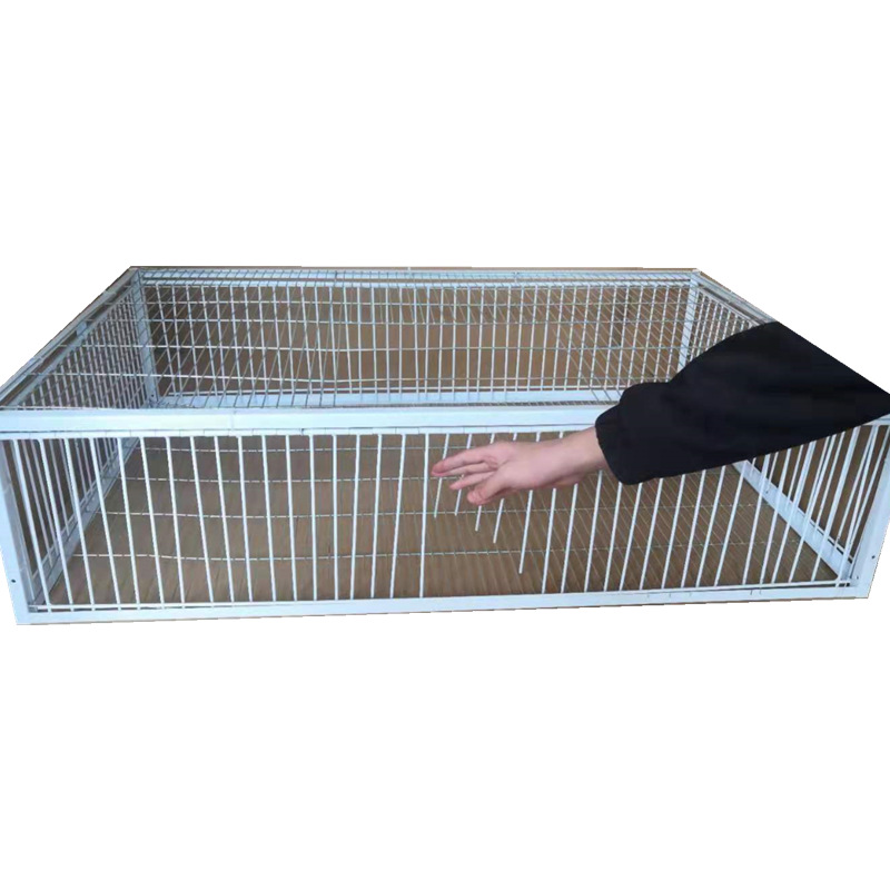 捕野鸽子神器捕鸽收鸽子笼自动捕鸽笼天落笼抓鸽子只进不出捕捉器