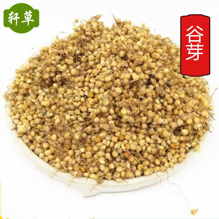 五谷杂粮谷芽