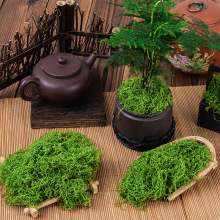 青苔草皮仿生人造假苔藓微景观布置摆件草坪盆景盆栽装饰造景