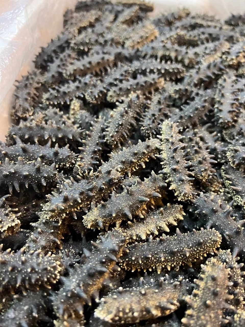 大连海参干货5a六排刺满天星淡干海参厂家直销可打礼盒大连海参