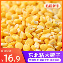 2023年东北粘玉米碴芸豆脱皮大粒黄糯黏玉米渣大碴子粥新5斤