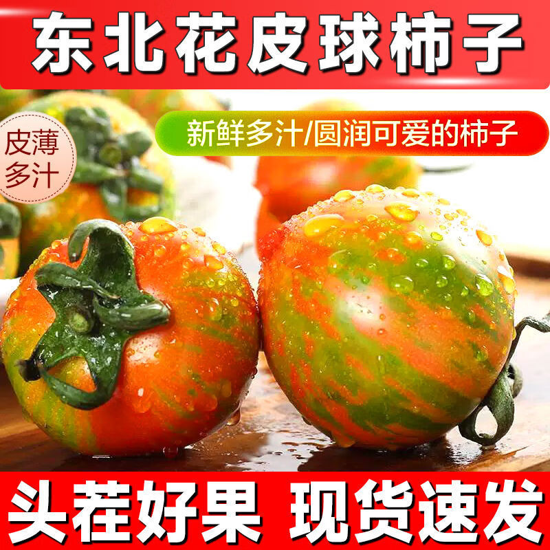 东北皮球柿子现摘现发生吃新鲜西红柿铁皮柿子草莓番茄虎皮柿子