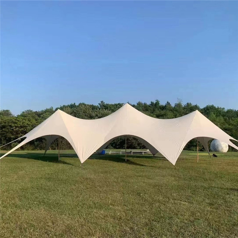 Outdoor Cloud Roof Canopy Tent Large Camping Camping Thickened Sun Protection Rain Proof Outdoor Canopy Double Peak Canopy L