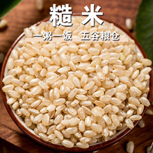 厂家直发糙米500g散装零售糙米农家自产大米粗粮一件代发