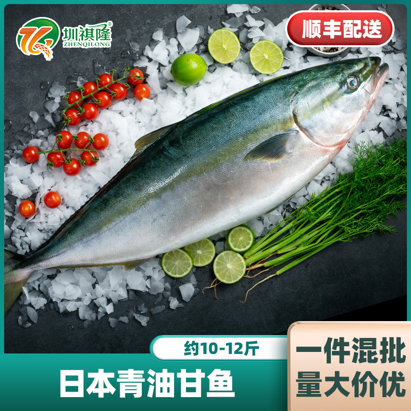 日本进口青油甘鱼冰鲜整条日料寿司刺身10-12斤/条顺丰冷料配送