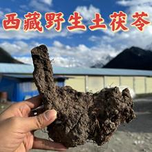 西藏波密野山土茯苓干新鲜养生茶煲汤泡水500g真货好货