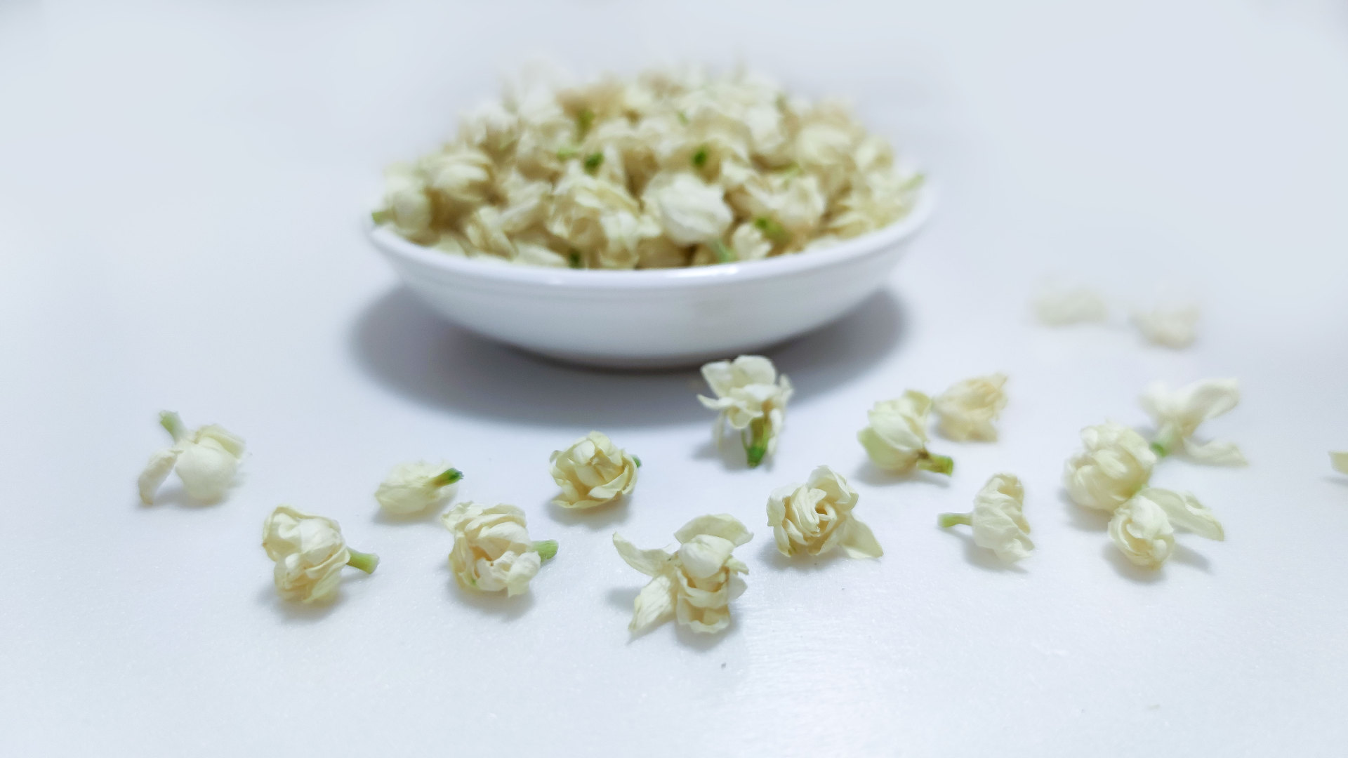 厂家直供当季新品横县茉莉花雪球去梗花苞茉莉花茶花草茶散装批发