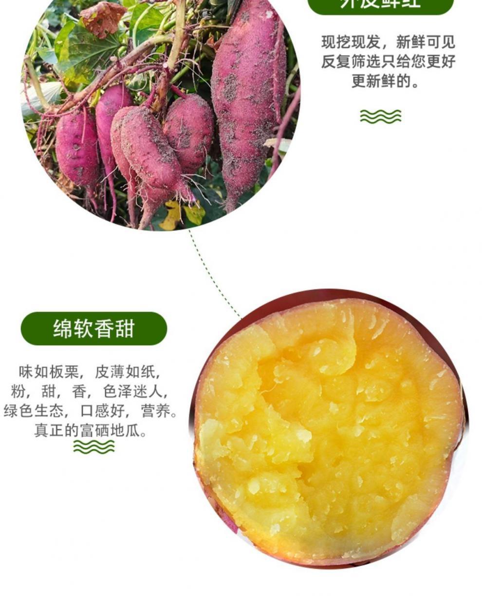 玛莎莉红薯新鲜桥头地瓜海南澄迈板栗番薯粉糯香农家自种2斤10斤