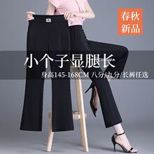 145矮个子小个子裤子女2024春秋弹力高腰垂感休闲百搭显瘦微喇裤