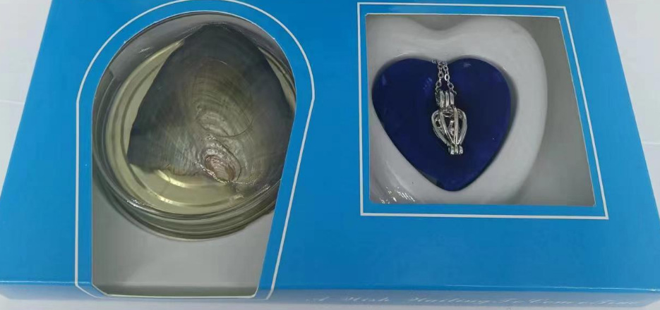 Pearl Gift Box Canned One Mussel One Pearl Anodonta DIY Pearl Pendant