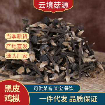 云南特产蘑菇野生菌黑皮鸡纵黑皮鸡枞菌灰鸡枞干货蘑菇产地直发
